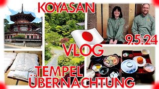 🗼JAPANVLOG🗾  Tempelübernachtung🏮 OkunoinFriedhof💀 amp Erkundung🏃 090524  Koyasan [upl. by Inobe]