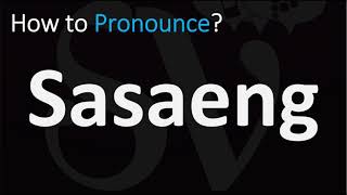 How to Pronounce Sasaeng CORRECTLY [upl. by Zolly513]