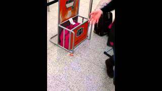 Bag which easy jet declined as carry on baggage and fined us [upl. by Shelden]