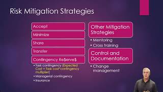 Risk Mitigation Strategies [upl. by Sivrep]