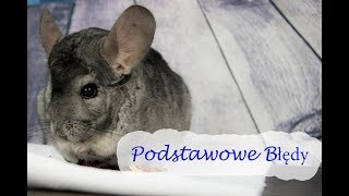 10 Podstawowych Błędów  Szynszyla Mała [upl. by Jae125]