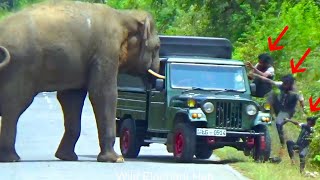 Shocking Elephant Attack On Cab Passenger Caught On Camera [upl. by Mattson]