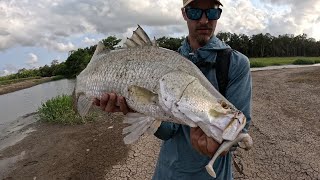 barramundi amp sooty fishing fishingaustralia freshwaterfishing lurefishing qld [upl. by Kered]