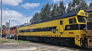 161124 6MS5 passing Yennora MilitaryLoftus Rd Level Crossing [upl. by Enuahs]