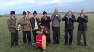 Canta cucun bucovina  fanfara de la Belcesti [upl. by Enael619]