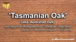 Tasmanian Oak eucalyptus spp  Mitchs World of Woods [upl. by Kristof909]