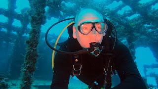 Shipwreck C 56 JUAN ESCUTIA  Puerto Morelos Mexico Dive 1  March 4th 2022 [upl. by Audri768]