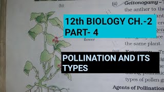 Class 12 biology chapter2 Part4 pollination and its typesStudy with FARRU [upl. by Now267]