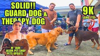 ETO NA MGA INAABANGAN DITO NAPAKA MURA NG GUARD DOG [upl. by Ellemac]