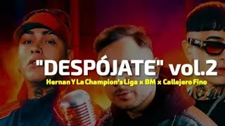 DESPOJATE Remix Bolichero El Matu DJ Hernan y La Champions Liga BM Callejero Fino [upl. by Nothgiel]