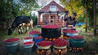 Preserving Flavor Making Delicious Dogwood Paste [upl. by Yort]