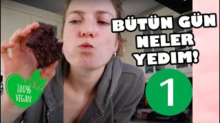 TÜM GÜN NELER YEDİM 1BÖLÜM Bitkisel Beslenmek [upl. by Fabio]