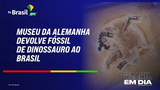 MUSEU DA ALEMANHA DEVOLVE FÓSSIL DE DINOSSAURO AO BRASIL [upl. by Mcgee381]