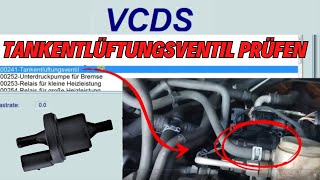 P0441 Tankentlüftungssystem Durchsatz fehlerhaft  Tankentlüftungsventil prüfen  VW Audi  VCDS [upl. by Orten]