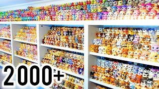 My 2000 Littlest Pet Shop Collection [upl. by Teplica]