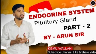 ENDOCRINE SYSTEM PART 2 BY ARUN SIR [upl. by Ieso32]