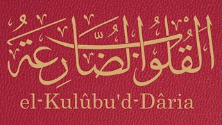 ASHABI BEDİR  ABDULLATİF ŞAMİ  DUA VAKTİ  DUA DİNLE  EL KULUBUD  DARİA  القلوب الضارعة [upl. by Ransome]