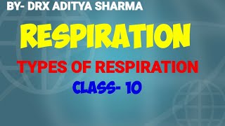 TYPES OF RESPIRATION CLASS 10 [upl. by Acinorev]