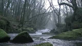 Ghost caught on camera in daylight on a Scottish river [upl. by Akinad]