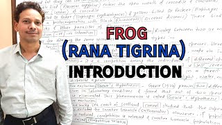 Frog Rana Tigrina  Introduction  For IASNEETGATENET and BSc [upl. by Helsa347]