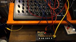 MONOTRON DELAY RESONANCE MOD  CV FOR FILTER TB 303 goes through the KORG MONOTRON MS 20 FILTER [upl. by Garnette]