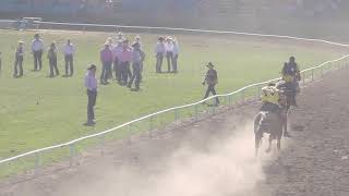 Pendleton Roundup 2019 Indian Relay Race Thurs 912 [upl. by Erdman]