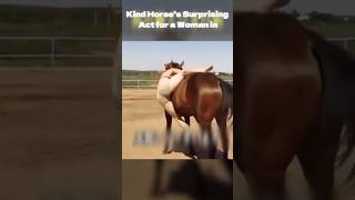 Kind Horses Surprising Act for a Woman HeartwarmingStory KindHorse AnimalKindness [upl. by Tiffi486]