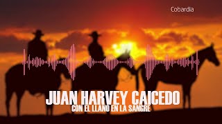 Cobardía  Juan Harvey Caicedo  Música Llanera [upl. by Kane]