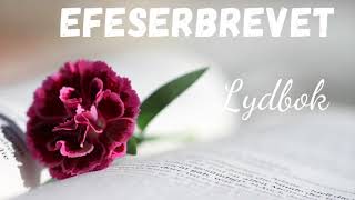 Efeserbrevet  Bibelen Guds ord  lydbok med musikk [upl. by Kirch261]