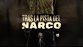 Tras la pista del narco  La serie completa [upl. by Raji]