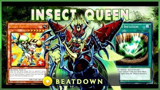 Metamorphosed Insect Queen Deck 2019  YuGiOh Duel Links [upl. by Nerehs]