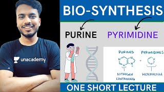 biosynthesis of purine and pyrimidine nucleotides  purine and pyrimidine synthesis biochemistry [upl. by Enelyar936]