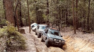 Greens Break road Watagans State forest 4wdadventures offroad toyotalandcruiser nissanpatrol [upl. by Ydnagrub]