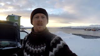 Stellers Eiders in Kiberg harbour February 6th 2016 Tormod Amundsen © Biotope [upl. by Ahtivak]