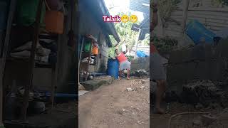 TALSIK PINITIK viralvideo trending shorts ytshort subcribe edit [upl. by Ameehs]