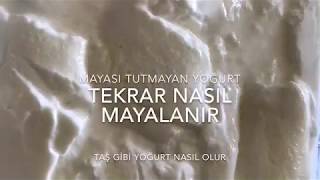 Mayalanıp da tutmayan yoğurt ne yapılır Tutmayan yoğurt tekrar nasıl mayalanır Tülinin mutfağı [upl. by Aphra]