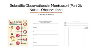 Scientific Observations Part 2 Nature Observations  Plant and Animal [upl. by Odareg98]