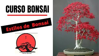 Curso de Bonsai GRATIS Estilos de Bonsai  Conceptos básicos [upl. by Orgell]