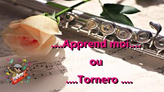 Apprends moi  Tornero [upl. by Ahsinirt]