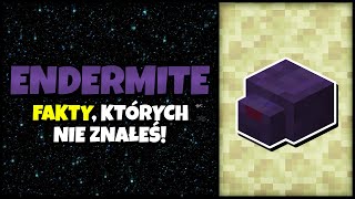 WSZYSTKO co MUSISZ WIEDZIEÄ† o ENDERMITE  Minecraft  shorts [upl. by Ylreveb822]