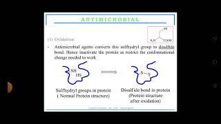 mechanism of action for antimicrobial agents By Ms Deepika [upl. by Airtap]