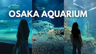 OSAKA AQUARIUM KAIYUKAN Japan Travel Guide  Things to do in Osaka 🇯🇵 [upl. by Laehctim]