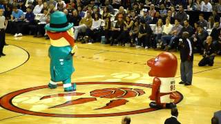 Raptors and Celtics Mascot DanceOff [upl. by Corine129]