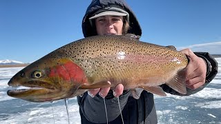 NEVER BEFORE SEEN  Ice Fishing Antero Reservoir for LARGE TROUT in Colorado [upl. by Ytinirt]