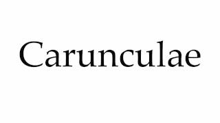 How to Pronounce Carunculae [upl. by Eileme571]