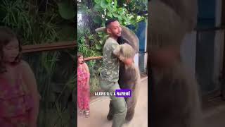 Un tamanoir contrarié trouve le bonheur shorts animaux tamanoir [upl. by Kung]