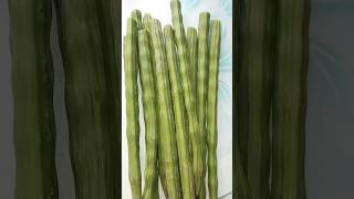 drumsticks Benefits munakkaya drumstickshealthbenefits healthyfood healthtips [upl. by Novrej684]