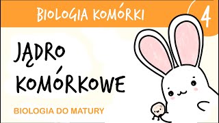 Cytologia 4  Jądro komórkowe  biologia rozszerzona matura liceum przygotowanie do matury z biologi [upl. by Daveen613]