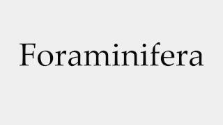 How to Pronounce Foraminifera [upl. by Nagel]