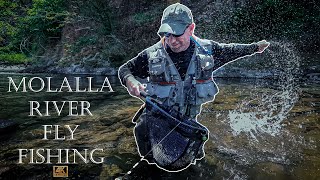 WILD day on Oregons Molalla River MidSummer Fly Fishing 2023 [upl. by Ailat]